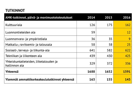 Turun AMK:n vuosikertomus 2016: tutkinnot-taulukko