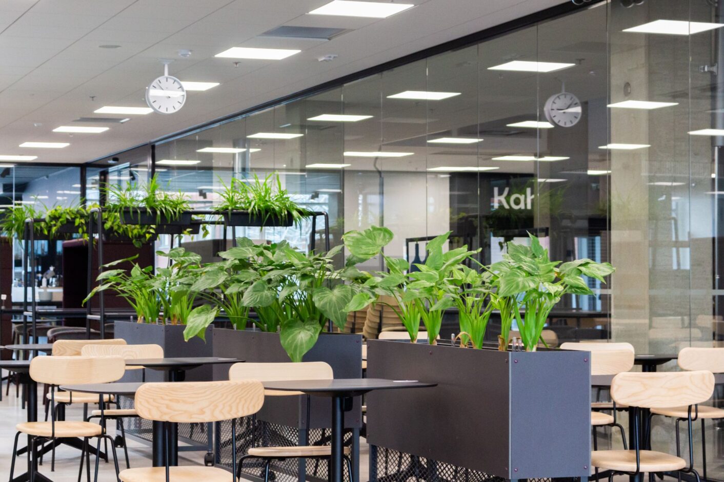 Ruokalatila, jossa viherkasveja