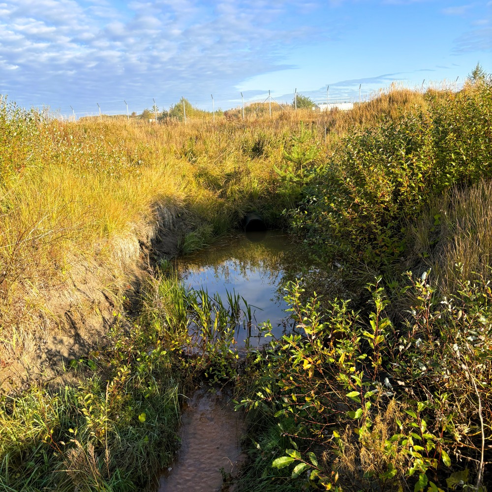 Vesioja peltomaisemassa