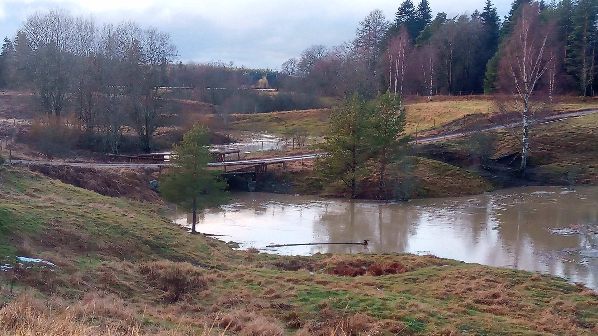 River view, surrounded by meadows and forest