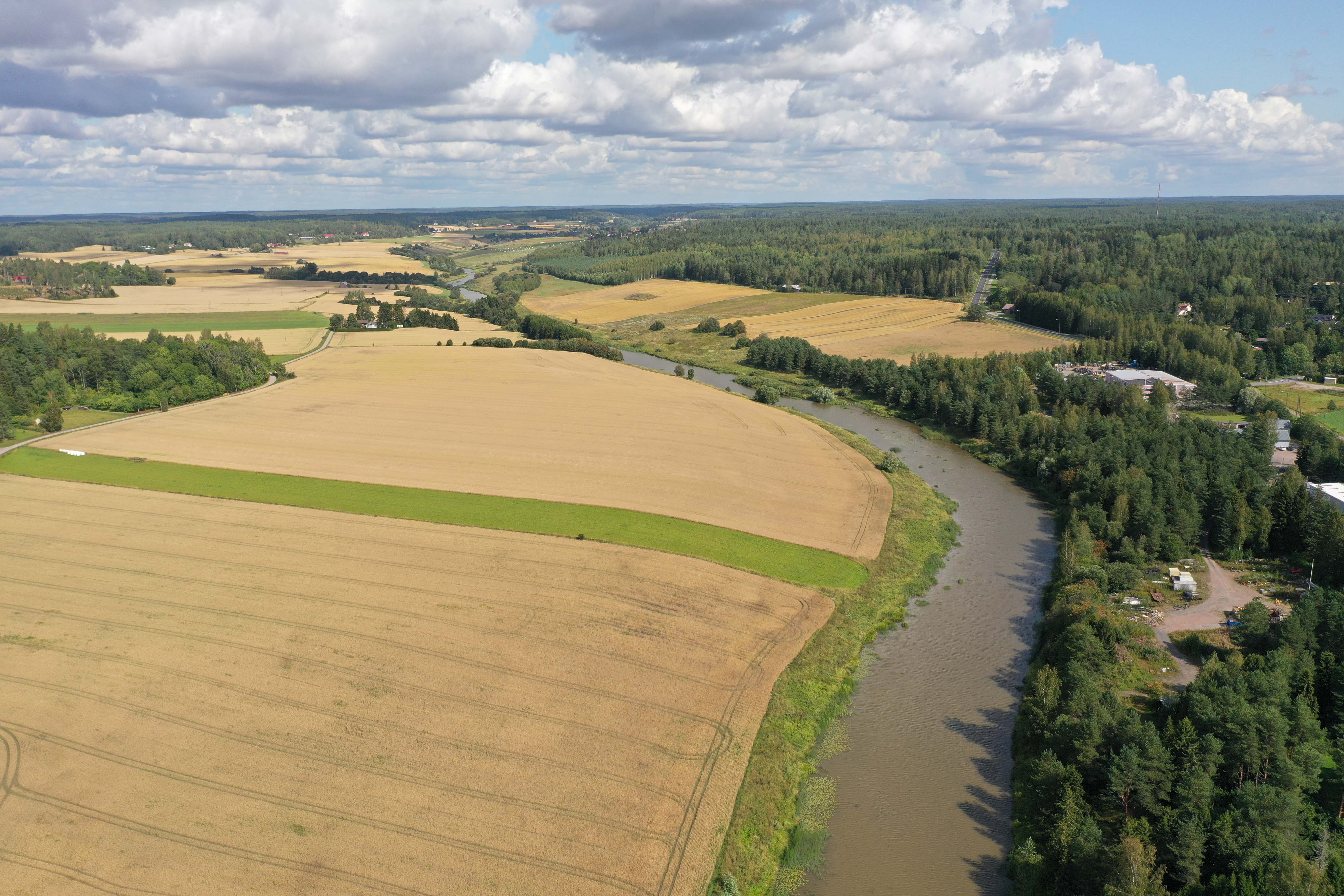 Peltoa ja metsää, keskellä Paimionjoki