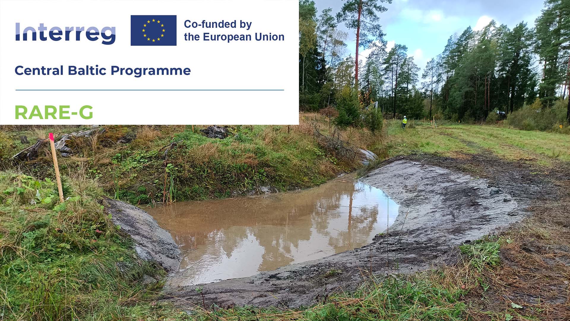A photo of a forest, with the sponsor's logo superimposed on the image