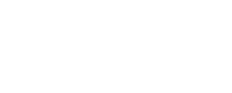 Business Finland logo