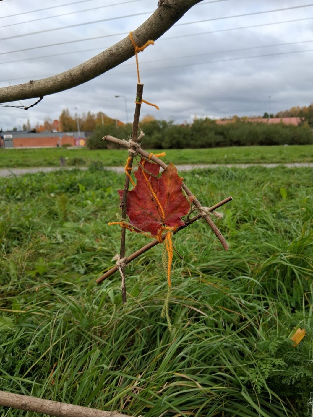 Maatuvaa taidetta Halisten lähiluonnossa. Ostasta roikkuu punainen vaahteran lehti, jossa tikkuja ja lankaa kiinni. Kuva: Miira Häkkinen.