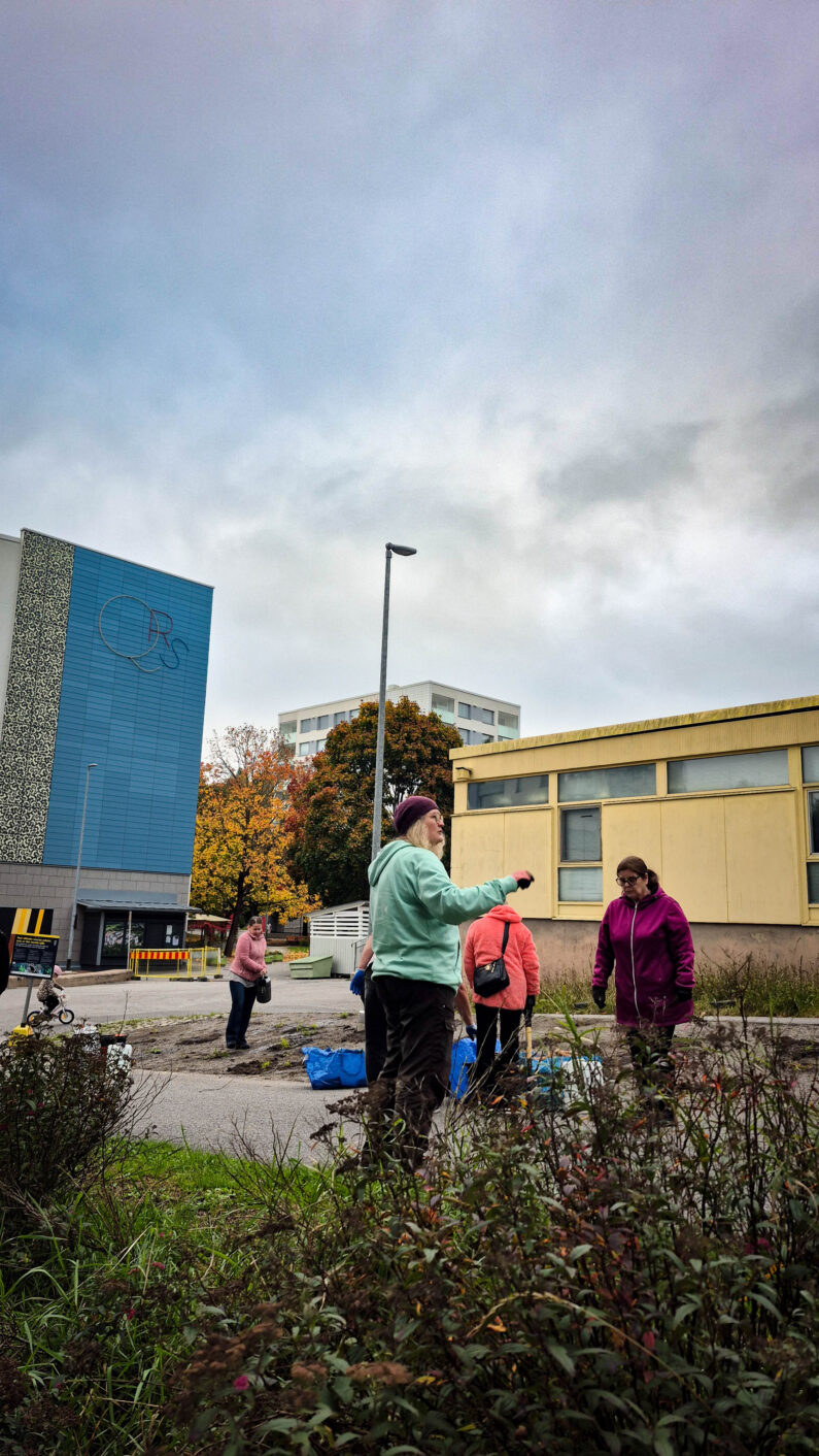 Turun kaupungin Krista Mäkelä ohjeistaa Jyrkkälän asukkaista istutustalkoissa 2026